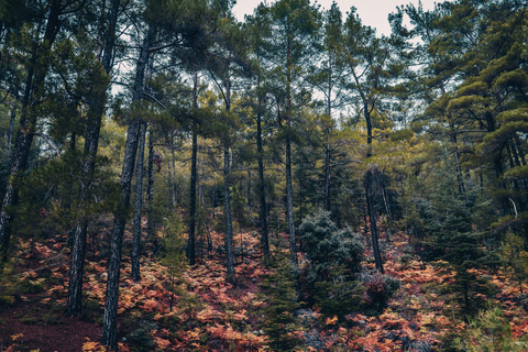 Cyprus: Photography Tour with a Professional Photographer Cyprus: Photography Tour - Beginner Photo Tour