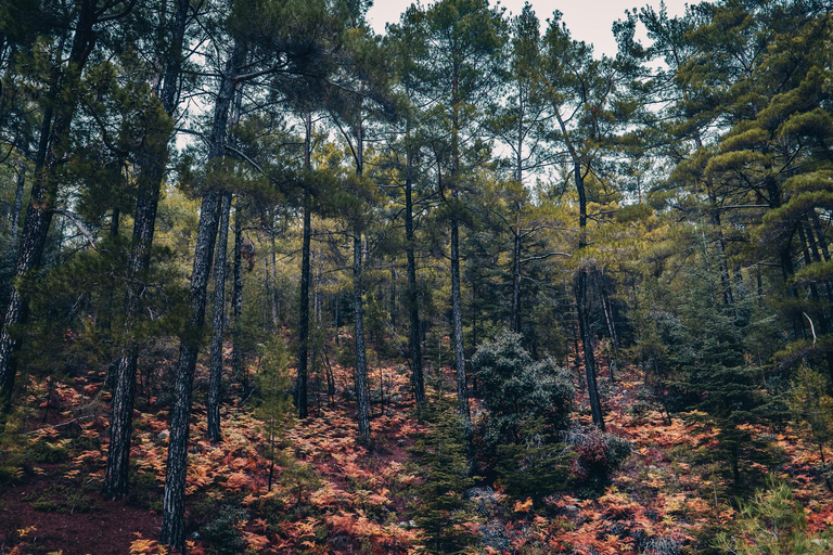 Cyprus: Photography Tour with a Professional Photographer Cyprus: Photography Tour - Beginner Photo Tour