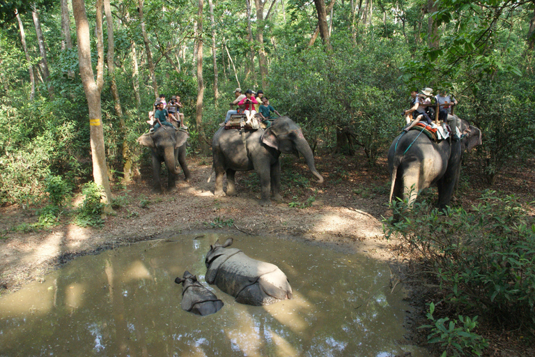 Da Pokhara/Kathmandu: Tour privato di 3 giorni con safari a Chitwan