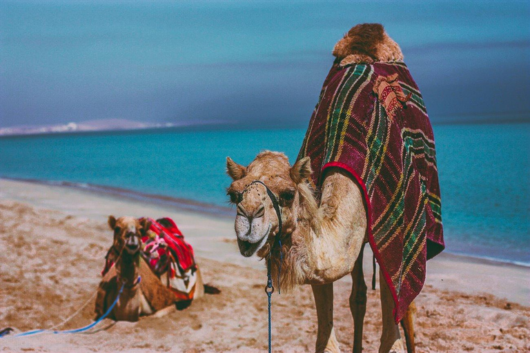 Qatar: Overnight Desert Adventure, Dune Bashing & Camp Stay