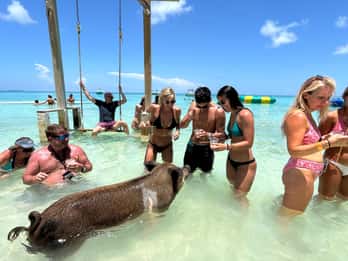 Nassau: Cerdos, Snorkel, Tortugas, Almuerzo, Club de Playa Privado