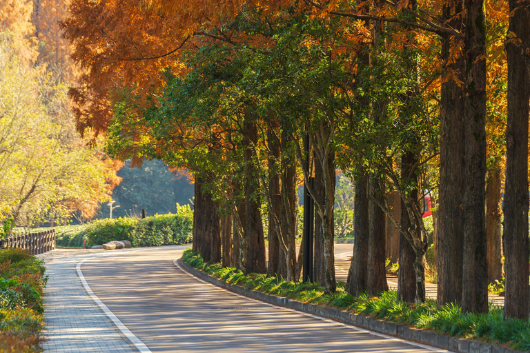 Hangzhou Autumn Exclusive: Manlong Guiyu Hiking Trail