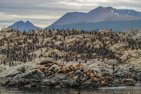 Ushuaia: Navigation through Beagle Channel & Bridges Islands