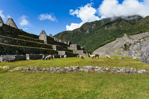 Machu Picchu: standaard toegangsticketLast Minute Ticket Circuit 3 (laag deel) + Gids