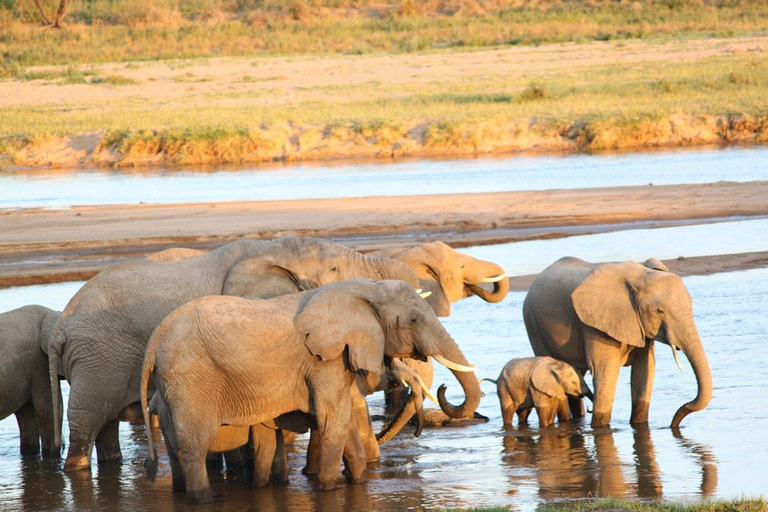 Wspaniały dzień 5 - Park Narodowy Serengeti do krateru Ngorongoroniesamowite serengeti do parku narodowego ngorongoro