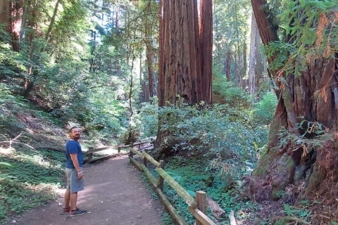 Au départ de San Francisco : Visite de groupe de Muir Woods et Sausalito