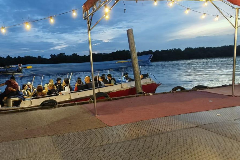 From Skyscrapers to Fireflies: A Malaysian Day Journey
