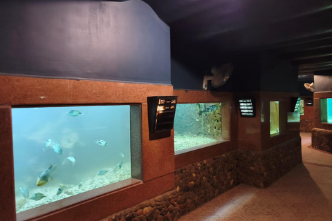 Hurghada: Hurghada City Tour with optional Red Sea Aquarium Group Hurghada City Tour