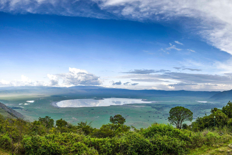 Kilimanjaro: 3-Day Serengeti and Ngorongoro Safari Tour