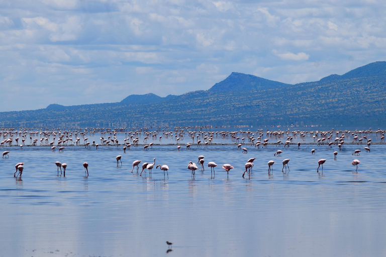 Arusha: Lake Natron Day Trip (Lake Walk &amp; Waterfall Hike)