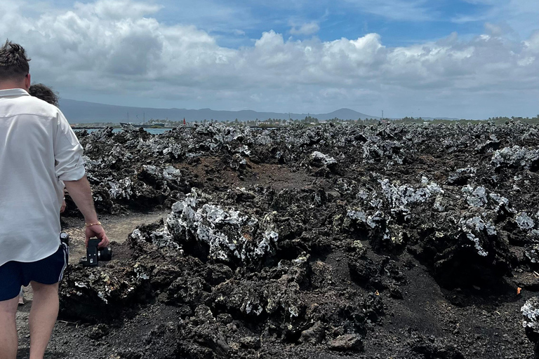 Isabela: Full Day with Penguins, Flamingos, Turtles, and Blue Sharks