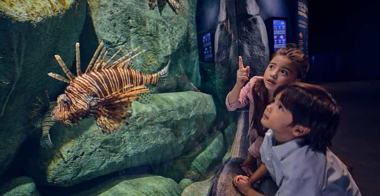 Singapore: Singapore Oceanarium Entrance E-Ticket photo 5