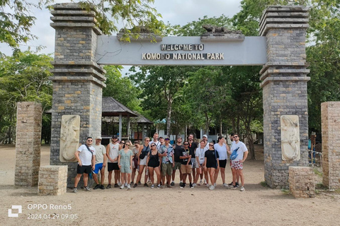 Excursión de un día a la Playa Rosa y las Islas Komodo en lancha rápidaExcursión de un día Playa Rosa e Isla de Komodo