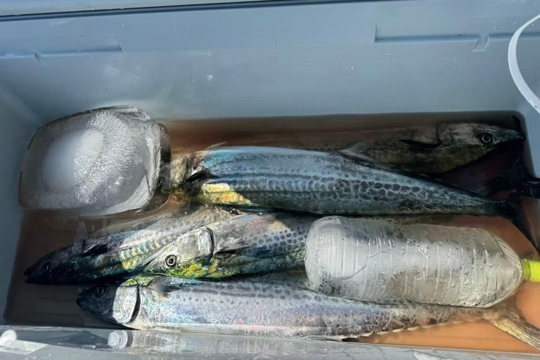Tokyo Bay Fishing Experience with Your Catch Cooked Fresh