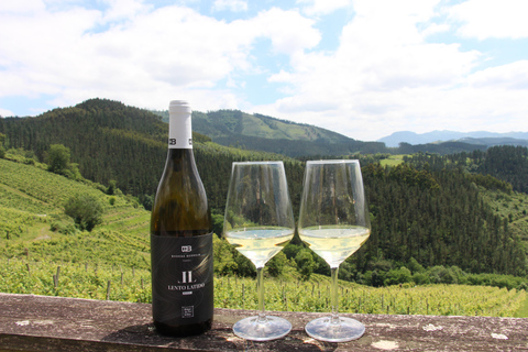 Gernika: Vineyard, Winery Tour, Txakolis & Basque Pairings