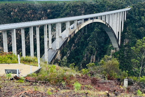 Tsitsikamma Day Trip with Optional Activities