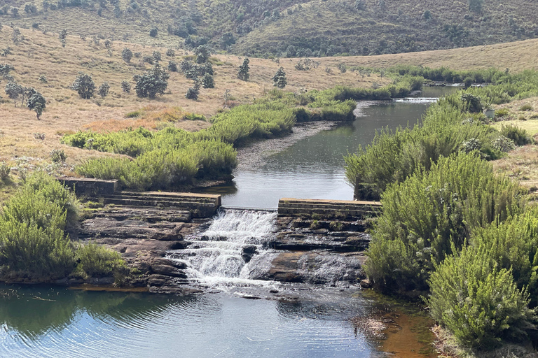 Happy Tour in Sri Lanka