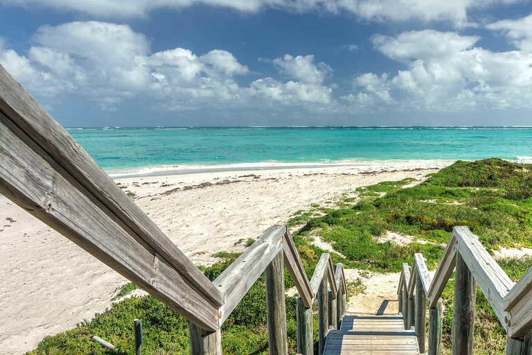 Pinnacles Desert Private Tour
