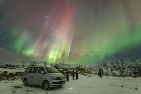 Tromsø: Northern Lights Hunt with Photos and Hot Food