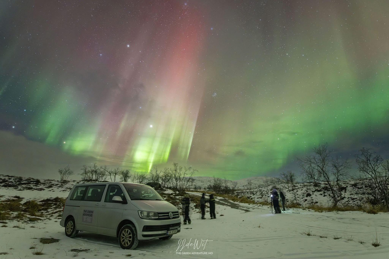 Tromsø: Northern Lights Hunt with Photos and Hot Food