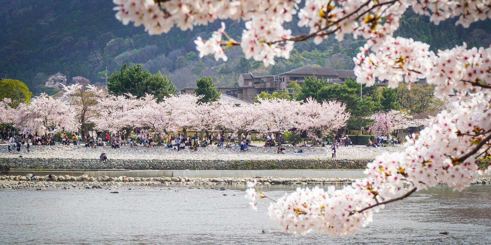 Kyoto/Osaka: Nara, Arashiyama, Fushimi Inari Taisha Day Tour