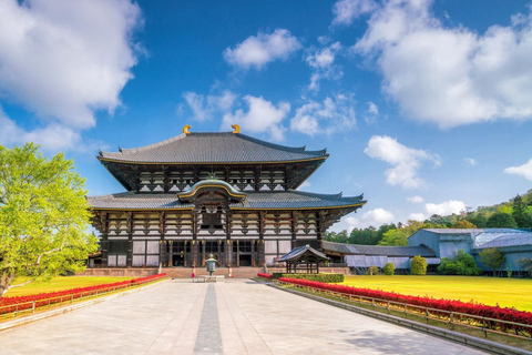Osaka:Nara & Uji In-depth One-Day Tour丨Deer Feeding