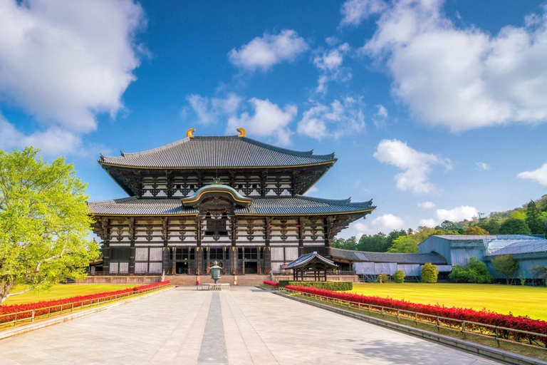 Osaka:Nara & Uji In-depth One-Day Tour丨Deer Feeding