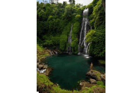 North Bali: Walking on the expanse of jati luwih rice fields