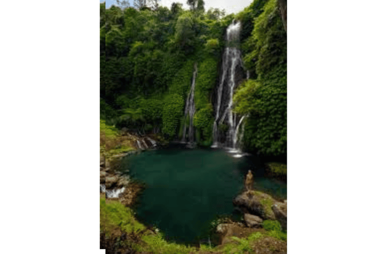 North Bali: Walking on the expanse of jati luwih rice fields