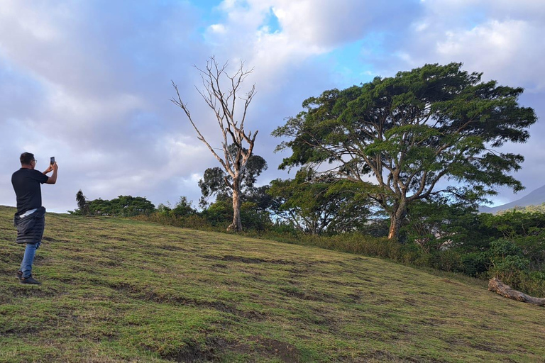 Arusha: Panoramic Sunset View with Food OptionsPanoramic Sunset View with Hot Picnic Style Meal
