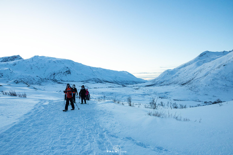 Arctic hike on the island of Kvaløya with drinks and snacks