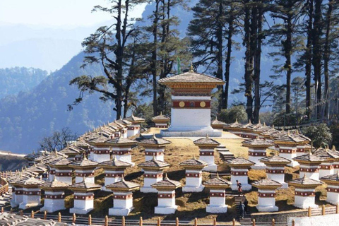 3-Day Dagana Dzong &amp; Stone Carvings Heritage Tour