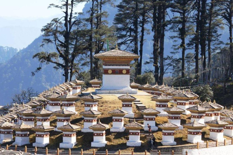 3-Day Dagana Dzong &amp; Stone Carvings Heritage Tour