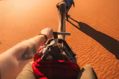 From Marrakech : 3-Day Desert Tour to Fes