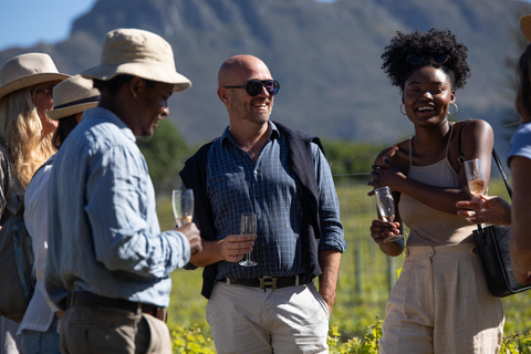 Constantia: Wine Walk with Lunch and Enchanting Stories