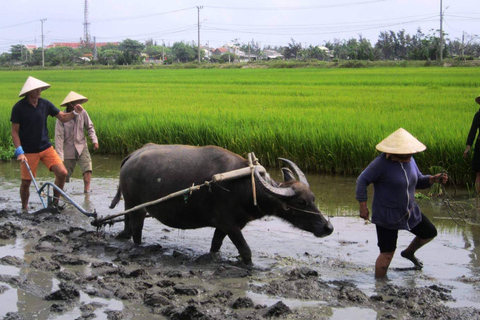 Hoi An: Eco-Luxury Farming and Fishing Tour with Lunch