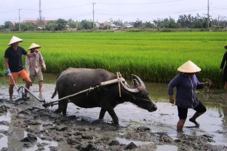 Hoi An: Eco-Luxury Farming and Fishing Tour with Lunch