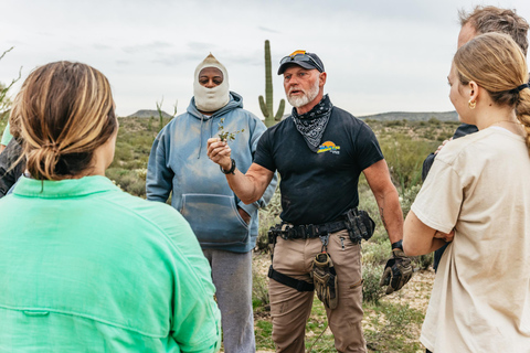 Guided Sonoran Desert ATV & UTV Tour 4 Seat Guided UTV Tour