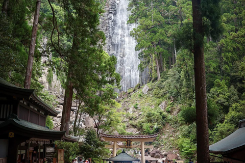 From Osaka/Kyoto: Mt. Koya & Nachi Falls Private Day Trip