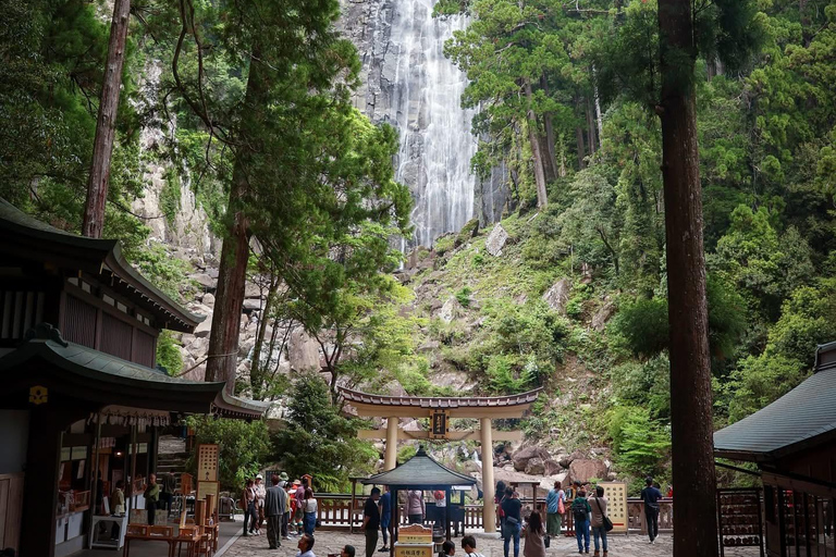 From Osaka/Kyoto: Mt. Koya & Nachi Falls Private Day Trip