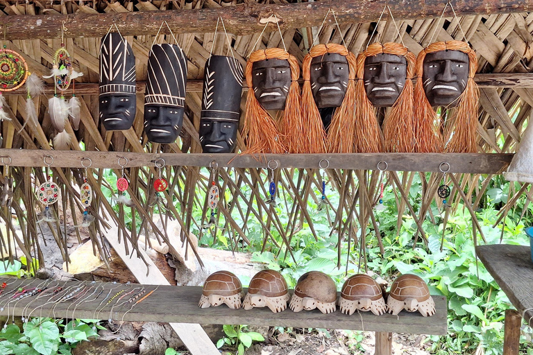 Iquitos: La Isla de los Monos con almuerzo y recogida en el hotelIquitos: Excursión a la Isla de los Monos con almuerzo y recogida en el hotel