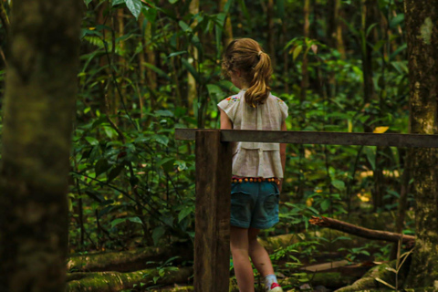 Uvita: Corcovado Rainforest & Wildlife Adventure