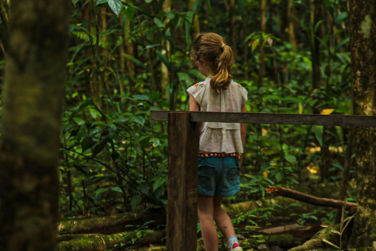 Uvita: Corcovado Rainforest & Wildlife Adventure