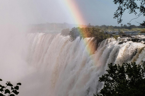 Zimbabwe & Zambia: Guided Tour of the falls from Both Sides
