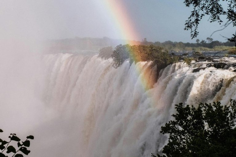 Zimbabwe & Zambia: Guided Tour of the falls from Both Sides