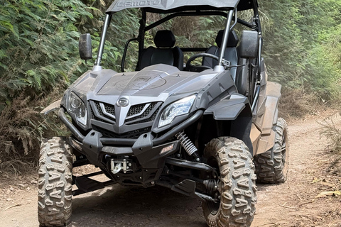 Madère : aventure en buggy tout-terrain dans les montagnes