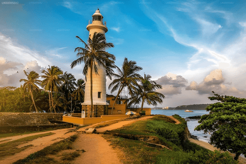 From Colombo: Private Transfer to Hambantota with Stops