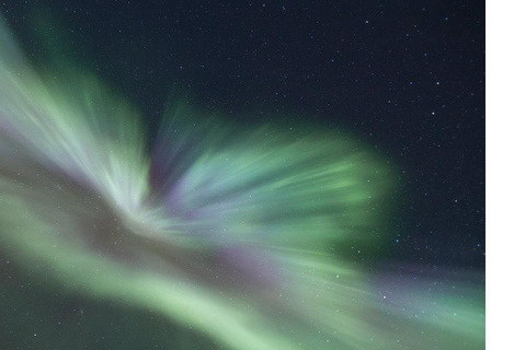 Tromso: Inseguimento dell&#039;aurora boreale in autobus con foto gratis