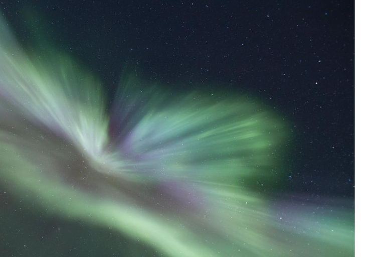 Tromso : La chasse aux aurores boréales en bus avec des photos gratuites