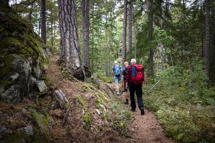 Tiveden National Park: Tour am Morgen mit Frühstück